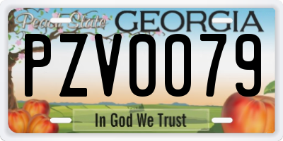 GA license plate PZV0079