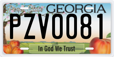 GA license plate PZV0081