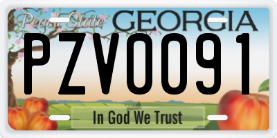 GA license plate PZV0091