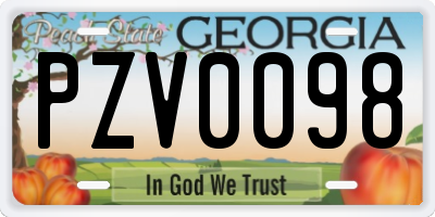 GA license plate PZV0098