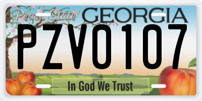 GA license plate PZV0107