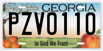 GA license plate PZV0110