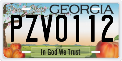 GA license plate PZV0112