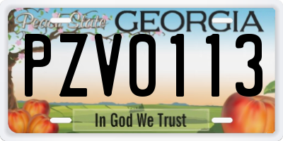 GA license plate PZV0113