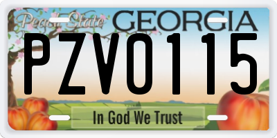 GA license plate PZV0115