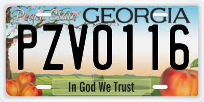 GA license plate PZV0116