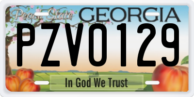 GA license plate PZV0129