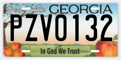 GA license plate PZV0132