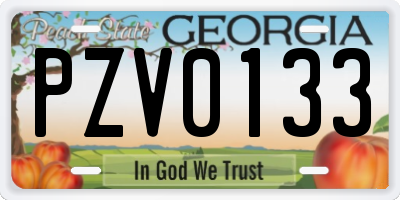 GA license plate PZV0133