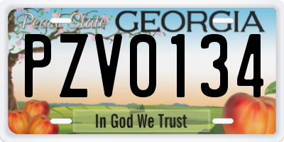 GA license plate PZV0134