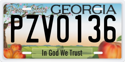 GA license plate PZV0136