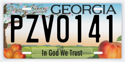 GA license plate PZV0141