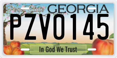 GA license plate PZV0145