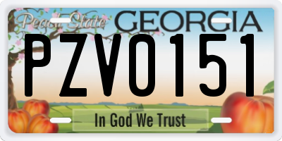 GA license plate PZV0151