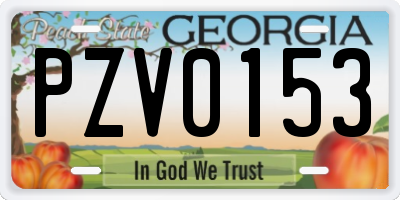GA license plate PZV0153