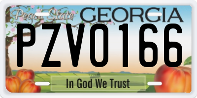 GA license plate PZV0166