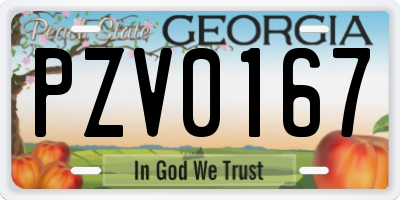 GA license plate PZV0167