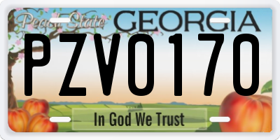 GA license plate PZV0170