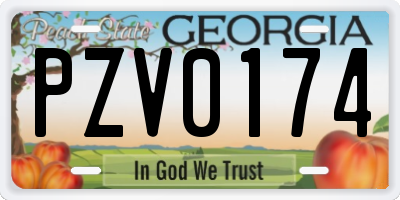 GA license plate PZV0174
