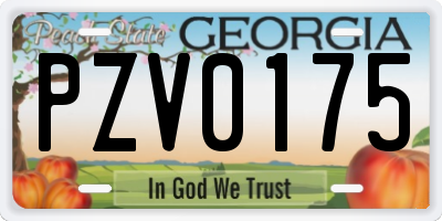 GA license plate PZV0175