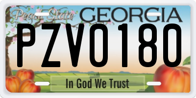 GA license plate PZV0180