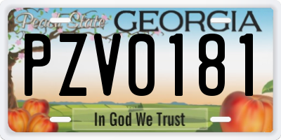 GA license plate PZV0181