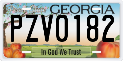 GA license plate PZV0182