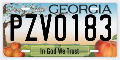GA license plate PZV0183