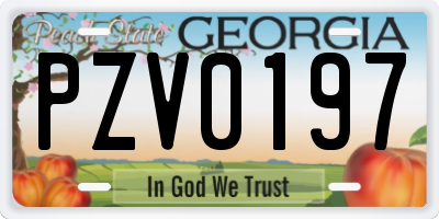 GA license plate PZV0197