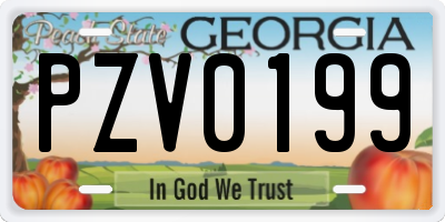 GA license plate PZV0199