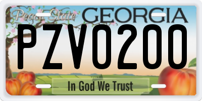 GA license plate PZV0200