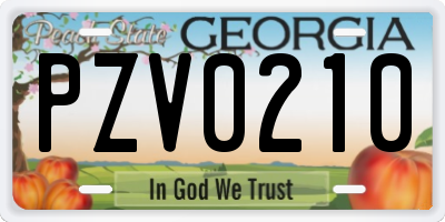 GA license plate PZV0210