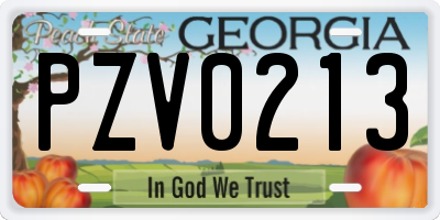 GA license plate PZV0213
