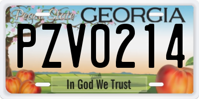 GA license plate PZV0214