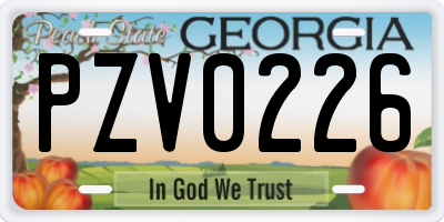 GA license plate PZV0226
