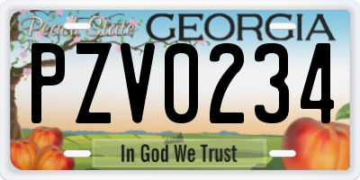 GA license plate PZV0234