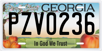 GA license plate PZV0236