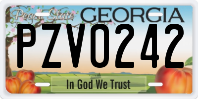 GA license plate PZV0242