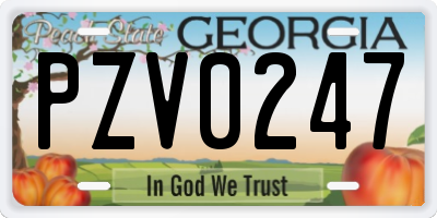 GA license plate PZV0247
