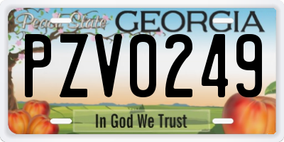 GA license plate PZV0249