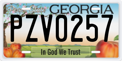GA license plate PZV0257