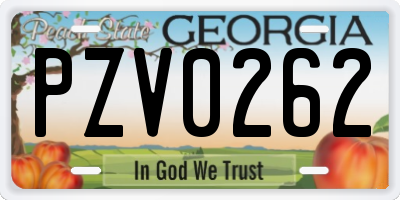 GA license plate PZV0262