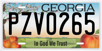 GA license plate PZV0265