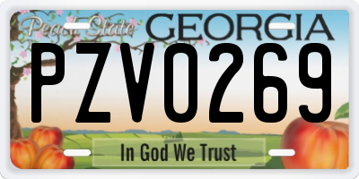 GA license plate PZV0269