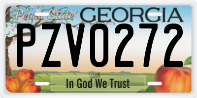 GA license plate PZV0272