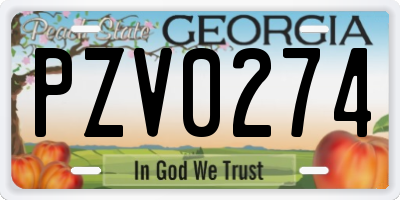 GA license plate PZV0274