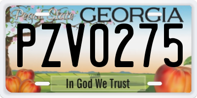 GA license plate PZV0275