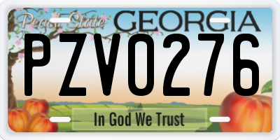 GA license plate PZV0276