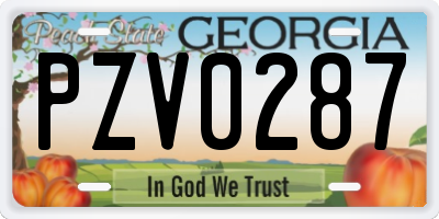 GA license plate PZV0287