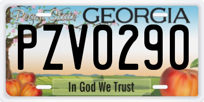 GA license plate PZV0290